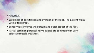 • Results in:-
• Weakness of dorsiflexion and eversion of the foot. The patient walks
with a ‘foot drop’.
• Sensory loss involves the dorsum and outer aspect of the foot.
• Partial common peroneal nerve palsies are common with very
selective muscle weakness.
 