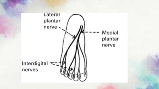 Lumbosacral lesions and disease.HR