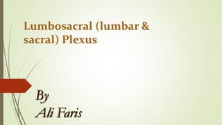 Lumbosacral (lumbar &
sacral) Plexus
By
Ali Faris
 