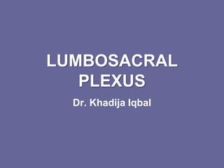 LUMBOSACRAL
PLEXUS
Dr. Khadija Iqbal
 