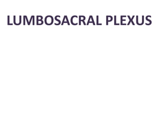 LUMBOSACRAL PLEXUS
 