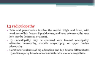 L3 radiculopathy
• Pain and paresthesias involve the medial thigh and knee, with
weakness of hip flexors, hip adductors, and knee extensors; the knee
jerk may be depressed or absent.
• L3 radiculopathy may be confused with femoral neuropathy,
obturator neuropathy, diabetic amyotrophy, or upper lumbar
plexopathy.
• Combined weakness of hip adduction and hip flexion differentiates
L3 radiculopathy from femoral and obturator mononeuropathies.
 