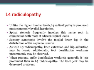 L4 radiculopathy
• Unlike the higher lumbar levels,L4 radiculopathy is produced
most commonly by disk herniation.
• Spinal stenosis frequently involves this nerve root in
conjunction with roots at adjacent spinal levels.
• Sensory symptoms involve the medial lower leg in the
distribution of the saphenous nerve.
• As with L3 radiculopathy, knee extension and hip adduction
may be weak; additionally, foot dorsiflexion weakness
uncommonly may be observed.
• When present, ankle dorsiflexion weakness generally is less
prominent than in L5 radiculopathy. The knee jerk may be
depressed or absent.
 