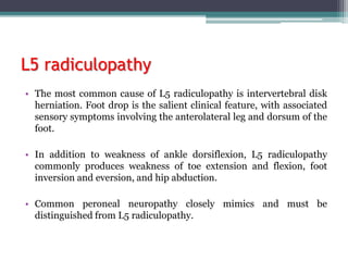 L5 radiculopathy
• The most common cause of L5 radiculopathy is intervertebral disk
herniation. Foot drop is the salient clinical feature, with associated
sensory symptoms involving the anterolateral leg and dorsum of the
foot.
• In addition to weakness of ankle dorsiflexion, L5 radiculopathy
commonly produces weakness of toe extension and flexion, foot
inversion and eversion, and hip abduction.
• Common peroneal neuropathy closely mimics and must be
distinguished from L5 radiculopathy.
 