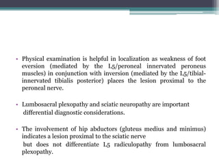 • Physical examination is helpful in localization as weakness of foot
eversion (mediated by the L5/peroneal innervated peroneus
muscles) in conjunction with inversion (mediated by the L5/tibial-
innervated tibialis posterior) places the lesion proximal to the
peroneal nerve.
• Lumbosacral plexopathy and sciatic neuropathy are important
differential diagnostic considerations.
• The involvement of hip abductors (gluteus medius and minimus)
indicates a lesion proximal to the sciatic nerve
but does not differentiate L5 radiculopathy from lumbosacral
plexopathy.
 