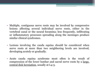 • Multiple, contiguous nerve roots may be involved by compressive
lesions affecting several individual nerve roots, either in the
vertebral canal or the neural foramina; less frequently, infiltrating
or inflammatory processes spreading along the meninges produce
similar clinical syndromes.
• Lesions involving the cauda equina should be considered when
nerve roots at more than two neighboring levels are involved,
developing acutely or gradually.
• Acute cauda equina syndrome most often is the result of
compression of the lower lumbar and sacral nerve roots by a large,
central disk herniation, usually at L4-5.
 