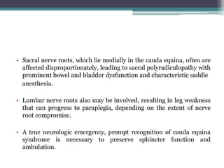 • Sacral nerve roots, which lie medially in the cauda equina, often are
affected disproportionately, leading to sacral polyradiculopathy with
prominent bowel and bladder dysfunction and characteristic saddle
anesthesia.
• Lumbar nerve roots also may be involved, resulting in leg weakness
that can progress to paraplegia, depending on the extent of nerve
root compromise.
• A true neurologic emergency, prompt recognition of cauda equina
syndrome is necessary to preserve sphincter function and
ambulation.
 
