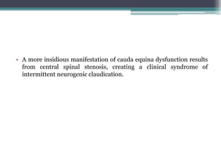 • A more insidious manifestation of cauda equina dysfunction results
from central spinal stenosis, creating a clinical syndrome of
intermittent neurogenic claudication.
 