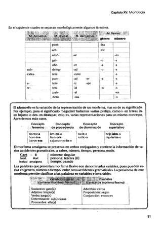 Lumbreras   lenguaje