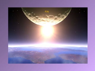 FIN