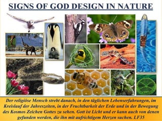 Der religiöse Mensch strebt danach, in den täglichen Lebenserfahrungen, im
Kreislauf der Jahreszeiten, in der Fruchtbarkeit der Erde und in der Bewegung
des Kosmos Zeichen Gottes zu sehen. Gott ist Licht und er kann auch von denen
gefunden werden, die ihn mit aufrichtigem Herzen suchen. LF35
 