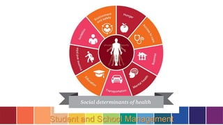 Student and School Management
 