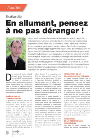 Depuis que la Terre s’est formée et que la vie y est apparue, il y a près de 3,5
milliards d’années, diverses forces de sélection ont inﬂuencé l’évolution des
organismes vivants. Parmi elles, la lumière du Soleil a représenté l’inﬂuence
la plus importante. Par la suite, il y a 600 millions d’années, les organismes
primordiaux ont développé les premières cellules photo-réceptrices qui leur ont
permis d’acquérir des informations non visuelles et visuelles et de synchroniser
leurs rythmes biologiques avec les cycles de la lumière. De nos jours, la lumière
artiﬁcielle peut, en certaines circonstances, interagir avec la lumière naturelle
et ses cycles – journaliers ou saisonniers. En conséquence, les organismes
peuvent être affectés car, estime Thomas Le Tallec,« si la lumière et ses cycles
naturels ont joué un rôle fondamental dans l’évolution des organismes vivants,
ils restent indispensables pour la vision, le contrôle de l’environnement et la
régulation des rythmes biologiques ».
Actualités
En allumant, pensez
à ne pas déranger !
Biodiversité
10 Numéro 04 - Novembre 2012
©DR
De nos jours, la lumière artiﬁcielle
interagit, parfois dramatiquement,
avec les cycles de la lumière naturelle,
et affecte, en conséquence, les
organismes vivants, tant du point de vue physio-
logique, comportemental que chrono-biolo-
gique. En particulier, les organismes nocturnes,
vivant exclusivement ou partiellement la nuit,
qui représentent 28 % des vertébrés et 64,4 % des
invertébrés,sont les plus touchés.
ALTÉRATION DU
COMPORTEMENT
En premier lieu, la lumière artiﬁcielle peut
modiﬁer l’attrait des individus pour un
environnement donné et leurs capacités
à s’y orienter. Chez les petits mammifères
nocturnes, cela se traduit par une réponse
répulsive ; c’est-à-dire, lorsqu’ils en ont la
possibilité, qu’ils évitent les milieux exposés
aux lumières artiﬁcielles ou modiﬁent, voire
diminuent leurs activités. Au contraire, chez les
insectes nocturnes et les oiseaux migrateurs,
organismes qui utilisent la lumière des astres
pour s’orienter dans l’obscurité, les lumières
artiﬁcielles entraînent une réponse attractive.
Autrement dit, les individus approchent les
ALTÉRATION DE LA
COMMUNICATION VISUELLE
La lumière artiﬁcielle interagit avec la
communication visuelle. Ainsi, les espèces
bioluminescentes, c’est-à-dire les espèces
capables de produire et d’émettre leur propre
lumière, sont particulièrement affectées,
à l’image des lucioles et des vers luisants
qui utilisent des signaux lumineux pour
la communication sexuelle. Également, la
lumière artiﬁcielle peut altérer la commu-
nication et la reproduction des espèces non
bioluminescentes. Ainsi, chez les amphibiens,
les fortes illuminations inhibent les chants
nuptiaux. De même, en présence d’éclai-
rages artiﬁciels, il arrive que les individus se
montrent moins sélectifs pour le choix de
leur partenaire aﬁn d’accélérer la vitesse d’ac-
couplement et limiter le risque de prédation.
Or, le succès d’une reproduction passe, entre
autres, par la sélection dudit partenaire.
ALTÉRATION
DE LA SÉCRÉTION DE
MÉLATONINE
Plus grave, la lumière artiﬁcielle peut
modiﬁer les fonctions physiologiques et
milieux illuminés. Or ce comportement, loin
d’être sans risque, peut être cause de méso-
rientation ou de désorientation. Plus grave,
en s’approchant des lumières artiﬁcielles, les
individus peuvent entrer en collision avec les
grands édiﬁces humains (c’est le cas des oiseaux
migrateurs qui, chaque année, en sont victimes
par millions) ou s’épuiser, se déshydrater voire
se brûler au contact des lampes (c’est le cas
des insectes nocturnes, victimes chaque été de
véritables hécatombes).
En second lieu, la lumière artiﬁcielle, en
modiﬁant l’attrait des individus pour un envi-
ronnement donné et leurs capacités à s’y
orienter, peut affecter leurs comportements
locomoteurs, alimentaires et reproducteurs
ainsi que la communication intra et interspé-
ciﬁque. En termes de comportements locomo-
teurs et alimentaires, les réponses répulsives
peuvent entraîner une diminution des activités
nocturnes et des déplacements, associée à une
diminution de la prise alimentaire. C’est ce qui
s’observe chez les petits mammifères nocturnes
qui, exposés à la lumière artiﬁcielle, décalent
leurs activités à des moments plus propices ou
limitent leurs déplacements et leur recherche de
nourriture.
Lumieres_04_fr.indd 10 30/10/12 16:01
 