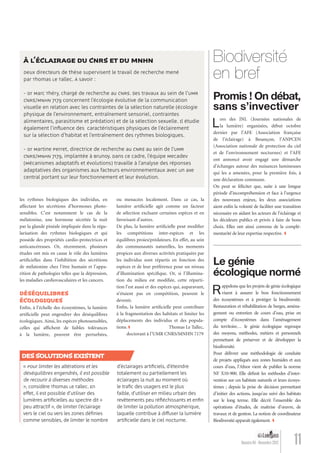 les rythmes biologiques des individus, en
affectant les sécrétions d’hormones photo-
sensibles. C’est notamment le cas de la
mélatonine, une hormone sécrétée la nuit
par la glande pinéale impliquée dans la régu-
larisation des rythmes biologiques et qui
possède des propriétés cardio-protectrices et
anticancéreuses. Or, récemment, plusieurs
études ont mis en cause le rôle des lumières
artiﬁcielles dans l’inhibition des sécrétions
de mélatonine chez l’être humain et l’appa-
rition de pathologies telles que la dépression,
les maladies cardiovasculaires et les cancers.
DÉSÉQUILIBRES
ÉCOLOGIQUES
Enﬁn, à l’échelle des écosystèmes, la lumière
artiﬁcielle peut engendrer des déséquilibres
écologiques. Ainsi, les espèces photosensibles,
celles qui afﬁchent de faibles tolérances
à la lumière, peuvent être perturbées,
11Numéro 04 - Novembre 2012
« Pour limiter les altérations et les
déséquilibres engendrés, il est possible
de recourir à diverses méthodes
», considère Thomas Le Tallec. En
effet, il est possible d’utiliser des
lumières artiﬁcielles au spectre dit «
peu attractif », de limiter l’éclairage
vers le ciel ou vers les zones déﬁnies
comme sensibles, de limiter le nombre
d’éclairages artiﬁciels, d’éteindre
totalement ou partiellement les
éclairages la nuit au moment où
le traﬁc des usagers est le plus
faible, d’utiliser en milieu urbain des
revêtements peu réﬂéchissants et enﬁn
de limiter la pollution atmosphérique,
laquelle contribue à diffuser la lumière
artiﬁcielle dans le ciel nocturne.
DESSOLUTIONSEXISTENT
«
déséquilibres engendrés, il est possible
de recourir à diverses méthodes
», considère Thomas Le Tallec. En
effet, il est possible d’utiliser des
lumières artiﬁcielles au spectre dit «
peu attractif », de limiter l’éclairage
vers le ciel ou vers les zones déﬁnies
comme sensibles, de limiter le nombre
DESSOLUTIONSEXISTENT
Deux directeurs de thèse supervisent le travail de recherche mené
par Thomas Le Tallec. À savoir :
- Dr Marc Théry, chargé de recherche au CNRS. Ses travaux au sein de l’UMR
CNRS/MNHN 7179 concernent l’écologie évolutive de la communication
visuelle en relation avec les contraintes de la sélection naturelle (écologie
physique de l’environnement, entraînement sensoriel, contraintes
alimentaires, parasitisme et prédation) et de la sélection sexuelle. Il étudie
également l’inﬂuence des caractéristiques physiques de l’éclairement
sur la sélection d’habitat et l’entraînement des rythmes biologiques.
- Dr Martine Perret, directrice de recherche au CNRS au sein de l’UMR
CNRS/MNHN 7179, implantée à Brunoy. Dans ce cadre, l’équipe Mecadev
(Mécanismes adaptatifs et évolutions) travaille à l’analyse des réponses
adaptatives des organismes aux facteurs environnementaux avec un axe
central portant sur leur fonctionnement et leur évolution.
À L’ÉCLAIRAGE DU CNRS ET DU MNHN
ou menacées localement. Dans ce cas, la
lumière artiﬁcielle agit comme un facteur
de sélection excluant certaines espèces et en
favorisant d’autres.
De plus, la lumière artiﬁcielle peut modiﬁer
les compétitions inter-espèces et les
équilibres proies/prédateurs. En effet, au sein
des communautés naturelles, les moments
propices aux diverses activités pratiquées par
les individus sont répartis en fonction des
espèces et de leur préférence pour un niveau
d’illumination spéciﬁque. Or, si l’illumina-
tion du milieu est modiﬁée, cette réparti-
tion l’est aussi et des espèces qui, auparavant,
n’étaient pas en compétition, peuvent le
devenir.
Enﬁn, la lumière artiﬁcielle peut contribuer
à la fragmentation des habitats et limiter les
déplacements des individus et des popula-
tions. Thomas Le Tallec,
doctorant à l’UMR CNRS/MNHN 7179
Lors des JNL (Journées nationales de
la lumière) organisées, début octobre
dernier par l’AFE (Association française
de l’éclairage) à Besançon, l’ANPCEN
(Association nationale de protection du ciel
et de l’environnement nocturnes) et l’AFE
ont annoncé avoir engagé une démarche
d’échanges autour des nuisances lumineuses
qui les a amenées, pour la première fois, à
une déclaration commune.
On peut se féliciter que, suite à une longue
période d’incompréhension et face à l’urgence
des nouveaux enjeux, les deux associations
aient enﬁn la volonté de faciliter une transition
nécessaire en aidant les acteurs de l’éclairage et
les décideurs publics et privés à faire de bons
choix. Elles ont ainsi convenu de la complé-
mentarité de leur expertise respective.
Rappelons que les projets de génie écologique
visent à assurer le bon fonctionnement
des écosystèmes et à protéger la biodiversité.
Restauration et réhabilitation de berges, aména-
gement ou entretien de cours d’eau, prise en
compte d’écosystèmes dans l’aménagement
du territoire… le génie écologique regroupe
des moyens, méthodes, métiers et personnels
permettant de préserver et de développer la
biodiversité.
Pour délivrer une méthodologie de conduite
de projets appliqués aux zones humides et aux
cours d’eau, l’Afnor vient de publier la norme
NF X10-900. Elle déﬁnit les méthodes d’inter-
vention sur ces habitats naturels et leurs écosys-
tèmes ; depuis la prise de décision permettant
d’initier des actions, jusqu’au suivi des habitats
sur le long terme. Elle décrit l’ensemble des
opérations d’études, de maîtrise d’œuvre, de
travaux et de gestion. La notion de coordinateur
Biodiversité apparaît également.
Promis ! On débat,
sans s’invectiver
Le génie
écologique normé
Biodiversité
en bref
Lumieres_04_fr.indd 11 30/10/12 16:01
 