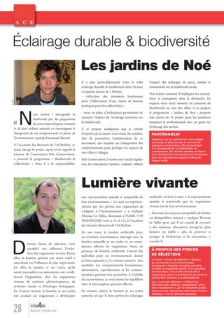 28 Numéro 04 - Novembre 2012
«Notre mission ? Sauvegarder la
biodiversité par des programmes
de conservation d’espèces menacées
et de leurs milieux naturels, en encourageant le
changement de nos comportements en faveur de
l’environnement » précise Emmanuel Berrod.
À l’occasion des Rencarts de l’ACEtylène, ce
jeune chargé de projet , après avoir rappelé la
mission de l’association Noé Conservation,
a présenté le programme « Biodiversité &
collectivités » dont il a la responsabilité.
Diverses forces de sélection (voir
encadré) ont inﬂuencé l’évolu-
tion des organismes vivants. Parmi
elles, la lumière générée par notre soleil a
sans doute eu l’inﬂuence la plus importante.
En effet, la lumière et ses cycles, qu’ils
soient journaliers ou saisonniers, ont condi-
tionné l’apparition, chez les organismes
vivants, de systèmes photorécepteurs, de
systèmes visuels et d’horloges biologiques.
En d’autres termes, la lumière et ses cycles
ont conduit ces organismes à développer
Éclairage durable & biodiversité
Lumière vivante
Les jardins de Noé
PARTENARIAT
À PROPOS DES FORCES
DE SÉLECTION
Rappelons qu’un partenariat a été engagé
avec ETDE, le pôle Énergie et Services de
Bouygues Construction, aﬁn de participer
à la sauvegarde de la biodiversité. En
conséquence, des actions menées en faveur
de la biodiversité sont dorénavant introduites
dans les réponses aux appels d’offres de
longue durée.
Le terme « forces de sélection » désigne
les contraintes environnementales
conduisant à favoriser un (des) caractère
(s) chez un organisme vivant. Si le caractère
est favorable, c'est-à-dire s’il est utile à
l’organisme, alors il contribuera à sa survie et
pourra être transmis à sa descendance.
Les « forces de sélection » inﬂuent sur
l’évolution des espèces. Typiquement, une «
force de sélection », par la contrainte qu’elle
exerce sur les organismes, favorisera certains
individus. C’est la sélection naturelle.
Il a plus particulièrement traité le volet
éclairage durable & biodiversité dont l’action
s’organise autour de 2 thèmes :
- réduction des nuisances lumineuses
pour l’élaboration d’une charte de bonnes
pratiques pour les collectivités ;
- mise en place d’indicateurs permettant de
mesurer l’impact de l’éclairage nocturne sur
la biodiversité.
À ce propos, soulignons que le comité
d’experts de la charte s’est réuni, ﬁn octobre,
aﬁn de poursuivre l’amélioration de ce
document, qui impulse un changement des
comportements pour protéger les espèces de
nos villes et villages.
Noé Conservation, à travers son travail régulier
avec les concepteurs lumière, souhaite réduire
une représentation spatiale et temporelle de
leur environnement. « Ce sont ces représen-
tations qui ont permis aux organismes de
s’adapter à l’environnement », a expliqué
Thomas Le Tallec, doctorant à l’UMR 7179
MNHN/CNRS (voir p. 11 et 12), à l’occasion
des derniers Rencarts de l’ACEtylène.
De nos jours, la lumière artiﬁcielle peut,
en certaines circonstances, interagir avec la
lumière naturelle et ses cycles et, en consé-
quence, affecter les organismes. Ainsi, en
présence de lumière artiﬁcielle, l’attrait des
individus pour un environnement donné
et leurs capacités à s’y orienter peuvent être
modiﬁés. Les comportements locomoteurs,
alimentaires, reproducteurs et les commu-
nications peuvent être perturbés. À l’échelle
des écosystèmes, ce sont même les équilibres
inter et intra-espèces qui sont affectés.
En somme, altérer la lumière et ses cycles
naturels, tel que le font parfois les éclairages
l’impact des éclairages de parcs, jardins et
monuments sur la biodiversité locale.
Noé estime essentiel d’impliquer les concep-
teurs et paysagistes dans la démarche, les
espaces verts étant souvent un poumon de
biodiversité au sein des villes. A ce propos,
le programme « Jardins de Noé » propose
une charte de 10 points pour les jardiniers
amateurs et professionnels avec un geste sur
l’éclairage des jardins.
artiﬁciels, revient à nuire à la représentation
spatiale et temporelle que les organismes
vivants ont de leur environnement.
« Pourtant, les moyens susceptibles de limiter
ces déséquilibres existent », explique Thomas
Le Tallec pour qui il est crucial de recourir
à des solutions alternatives lorsqu’un plan
lumière est établi « aﬁn de préserver et
protéger la biodiversité et les écosystèmes »,
conclut-il.
©DR©DR
Lumieres_04_fr.indd 28 30/10/12 16:01
 