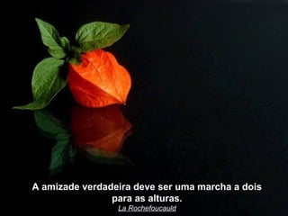 A amizade verdadeira deve ser uma marcha a dois
                para as alturas.
                 La Rochefoucauld
 