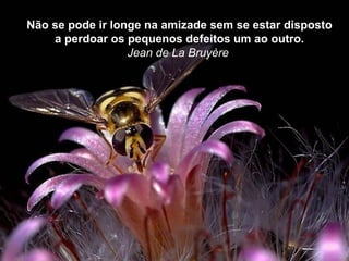 Não se pode ir longe na amizade sem se estar disposto
    a perdoar os pequenos defeitos um ao outro.
                  Jean de La Bruyère
 