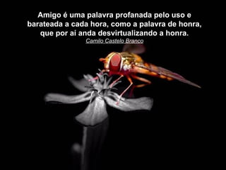Amigo é uma palavra profanada pelo uso e
barateada a cada hora, como a palavra de honra,
   que por aí anda desvirtualizando a honra.
               Camilo Castelo Branco
 