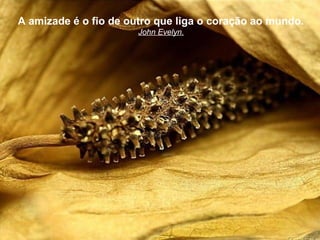 A amizade é o fio de outro que liga o coração ao mundo.
                       John Evelyn.
 
