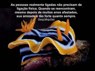 As pessoas realmente ligadas não precisam de
    ligação física. Quando se reencontram,
  mesmo depois de muitos anos afastados,
   sua amizade é tão forte quanto sempre.
                Deng Ming-Dao
 