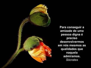 Para conseguir a
 amizade de uma
  pessoa digna é
     preciso
 desenvolvermos
em nós mesmos as
  qualidades que
     naquela
   admiramos.
     Sócrates
 