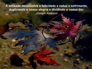 A amizade desenvolve a felicidade e reduz o sofrimento,
  duplicando a nossa alegria e dividindo a nossa dor.
                   Joseph Addison
 