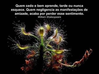 Quem cedo e bem aprende, tarde ou nunca
esquece. Quem negligencia as manifestações de
  amizade, acaba por perder esse sentimento.
               William Shakespeare
 