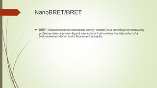NanoBRET/BRET
 BRET (bioluminescence resonance energy transfer) is a technique for measuring
protein-protein or protein-ligand interactions that involves the interaction of a
bioluminescent donor and a fluorescent acceptor.
 