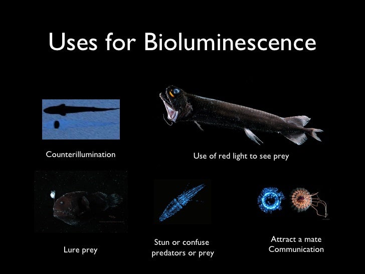 Luminescence presentation