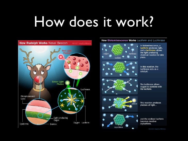 Luminescence presentation