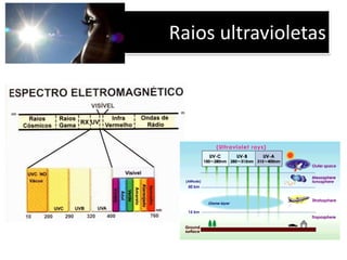 Fluorescência x Fosforescência
 