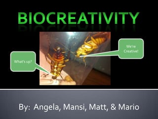 BioCreativity We’re Creative! What’s up? By:  Angela, Mansi, Matt, & Mario 