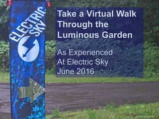 Take a Virtual Walk
Through the
Luminous Garden
As Experienced
At Electric Sky
June 2016
Photo by Leo Spizzirri
 