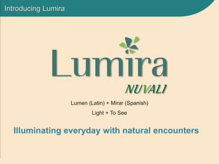Introducing Lumira
Lumen (Latin) + Mirar (Spanish)
Light + To See
Illuminating everyday with natural encounters
 