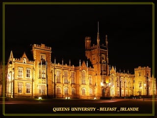 Lumières dans la nuit