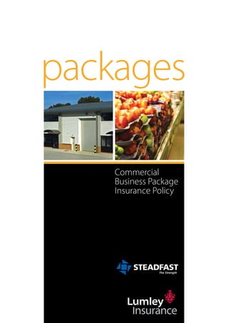 packages

    Commercial
    Business Package
    Insurance Policy
 