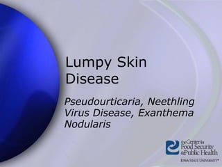 Lumpy Skin
Disease
Pseudourticaria, Neethling
Virus Disease, Exanthema
Nodularis
 