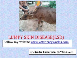 LUMPY SKIN DISEASE(LSD)
Follow my website www.veterinaryworlds.com
Dr Jitendra kumar sahu (B.V.Sc & A.H)
 