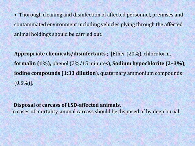 Lumpy skin disease | PPTX