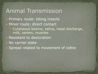  Primary route: biting insects
 Minor route: direct contact
 Cutaneous lesions, saliva, nasal discharge,
milk, semen, muscles
 Resistant to desiccation
 No carrier state
 Spread related to movement of cattle
 