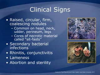 LumpySkinDisease(2).ppt