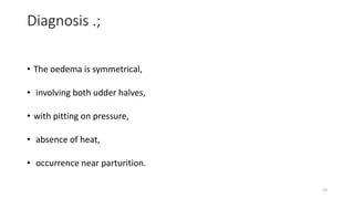 Diagnosis .;
• The oedema is symmetrical,
• involving both udder halves,
• with pitting on pressure,
• absence of heat,
• occurrence near parturition.
13
 