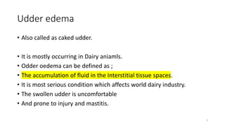 Udder edema
• Also called as caked udder.
• It is mostly occurring in Dairy aniamls.
• Odder oedema can be defined as ;
• The accumulation of fluid in the Interstitial tissue spaces.
• It is most serious condition which affects world dairy industry.
• The swollen udder is uncomfortable
• And prone to injury and mastitis.
2
 