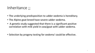 Inheritance ;;
• The underlying predisposition to udder oedema is hereditary.
• The Alpine goat breed have severe udder oedema.
• A genetic study suggested that there is a significant positive
correlation with milk yield in cow/goat with udder oedema.
• Selection by progeny testing for oedema' could be effective.
7
 
