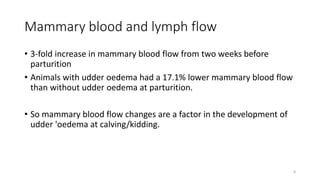 Mammary blood and lymph flow
• 3-fold increase in mammary blood flow from two weeks before
parturition
• Animals with udder oedema had a 17.1% lower mammary blood flow
than without udder oedema at parturition.
• So mammary blood flow changes are a factor in the development of
udder 'oedema at calving/kidding.
8
 