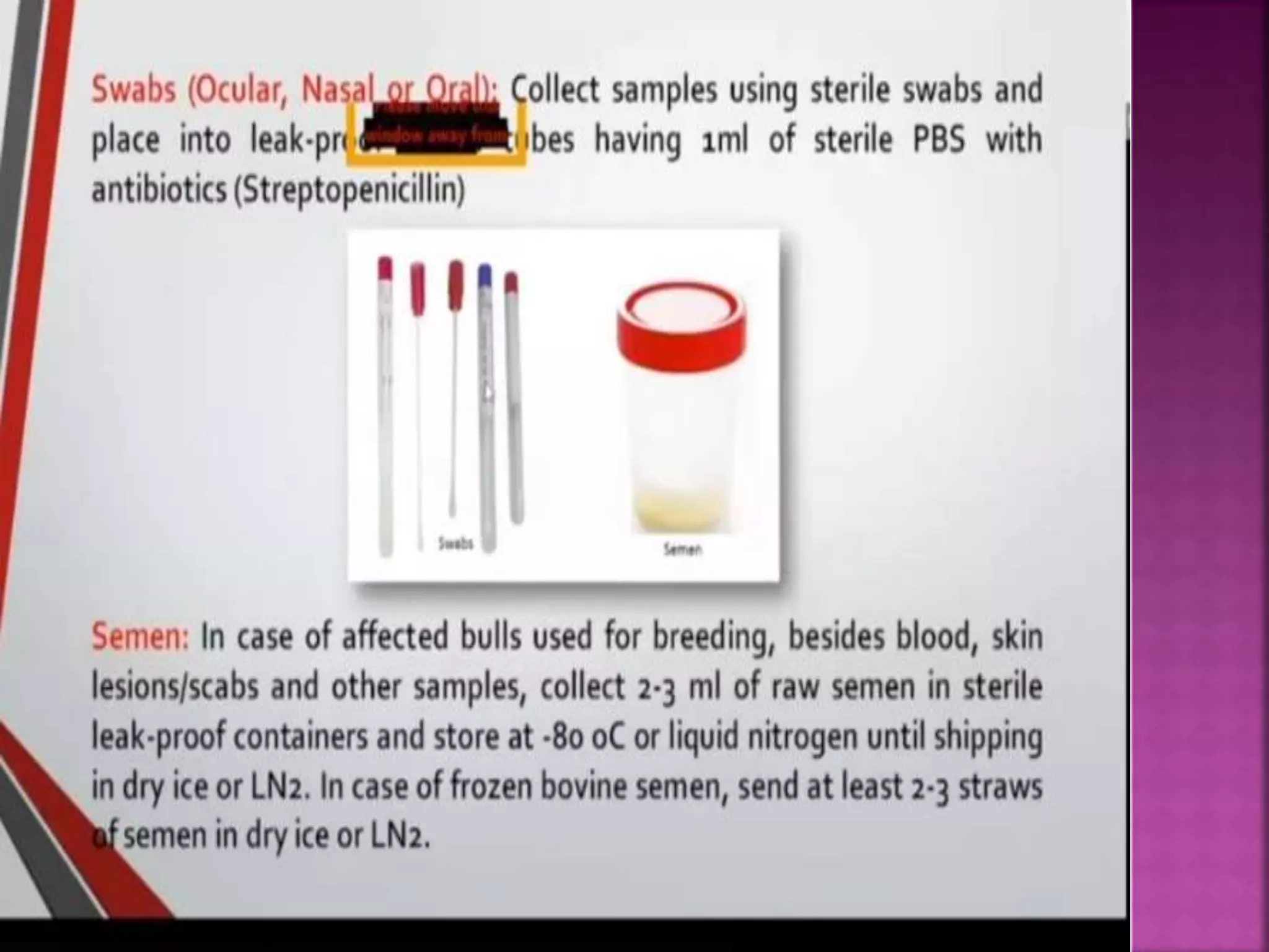 Lumpy skin disease ( LSD).pptx