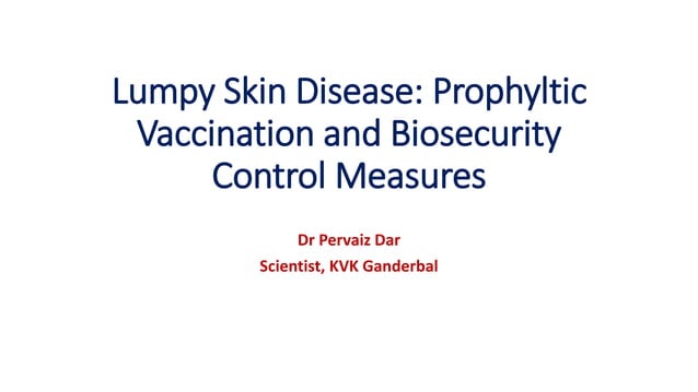 Lumpy Skin Disease | PDF | Infectious Diseases | Diseases and Conditions