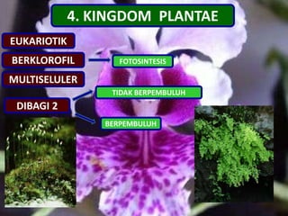 4. KINGDOM PLANTAE
BERKLOROFIL
MULTISELULER
FOTOSINTESIS
DIBAGI 2
TIDAK BERPEMBULUH
BERPEMBULUH
EUKARIOTIK
 