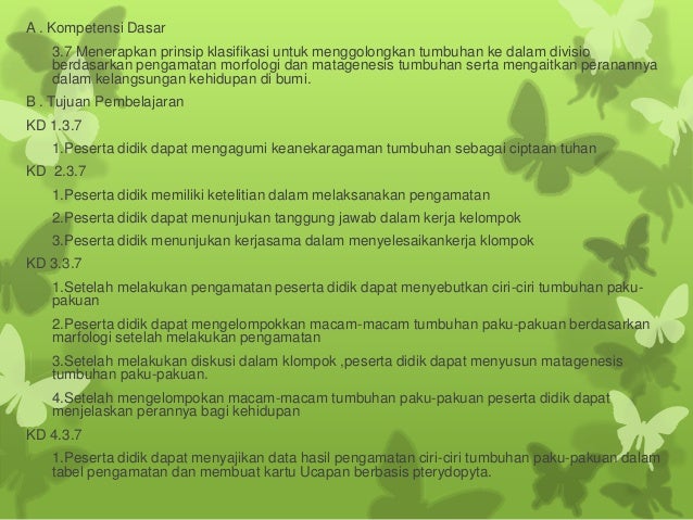 Lumut Bryophyta