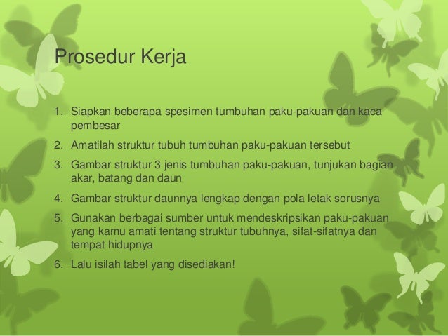 Lumut Bryophyta